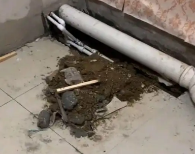 安庆市卫生间漏水检测哪家好